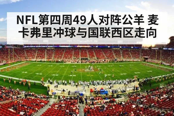 nfl football stadium